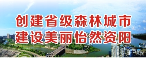 狂操骚逼视频创建省级森林城市 建设美丽怡然资阳